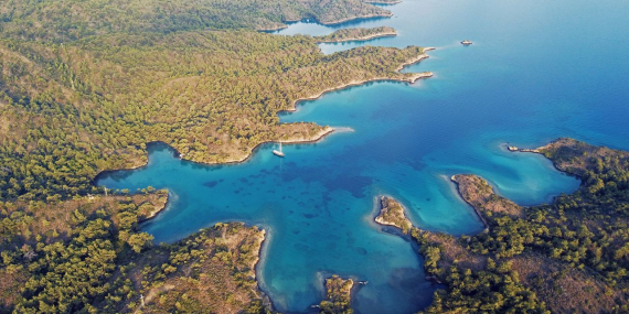 Burger King’s secret weapon against McDonald’s is the Whopper